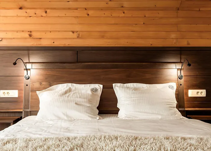 Pensionat The Hive 3*